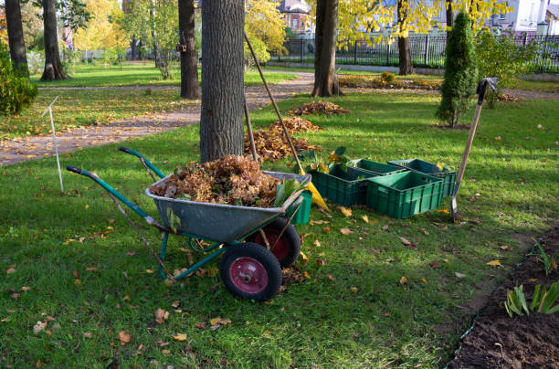 cart, rake, containers with seedlings.autumn leaf cleaning in the park
