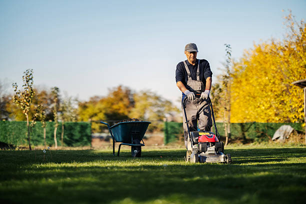 istockphoto 2245441608 612x612